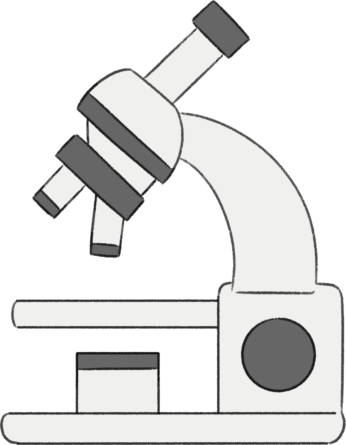 病理組織学的検査のイメージ画像