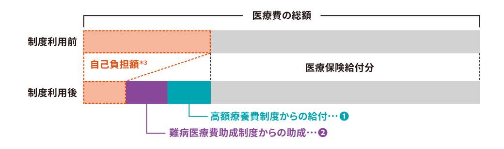 制度利用による自己負担軽減の図